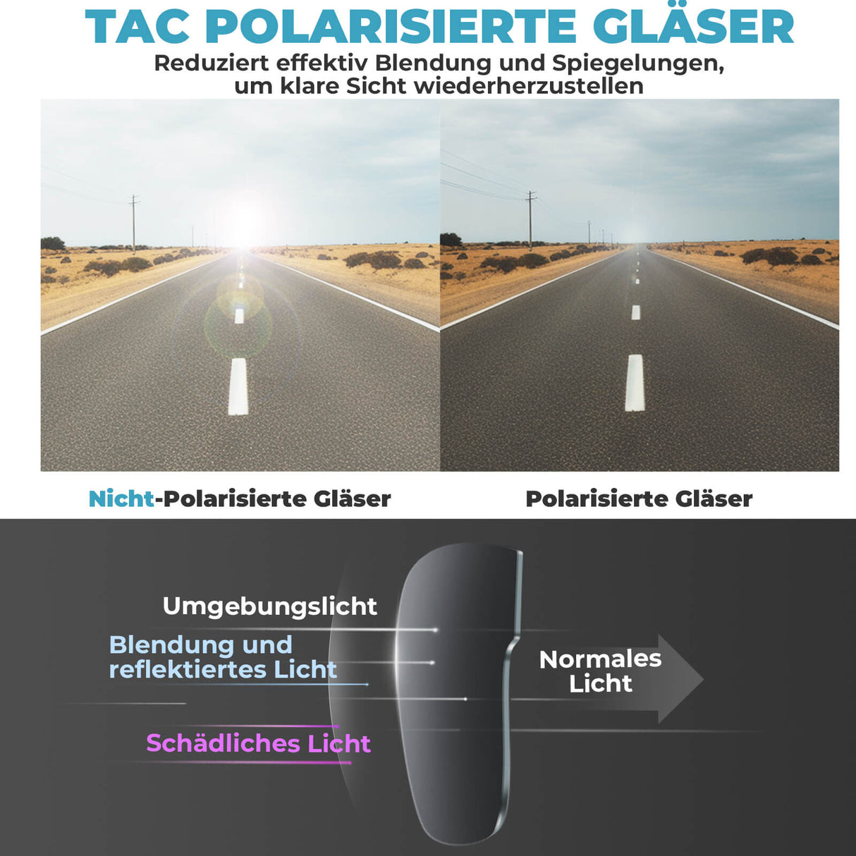 Elektronische Brille Intelligente Fahrradbrille Selbsttönend/Polarisiert - ROCKBROS-EU