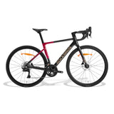 FLR-W3 Racing Bike