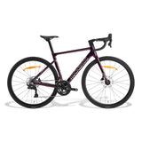 FLR-W3 Racing Bike