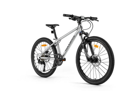 Darwin -24" Starrgabel/ Federgabel für Kinder - ROCKBROS-EU