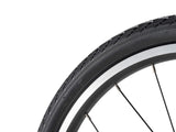 Kinderfahrrad Darwin -Riemenantrieb  20 8-12 Jahren